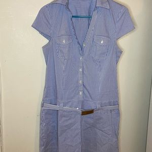 Express Striped Dress